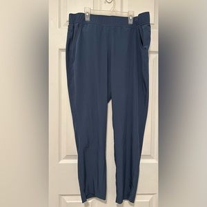 Eddie Bauer Departure Ankle Pants Navy Large Woman’s 29 Inseam